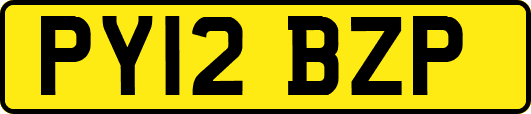 PY12BZP