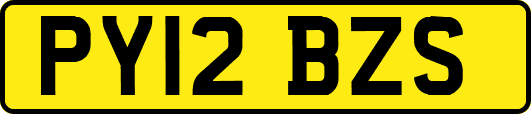 PY12BZS