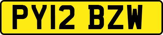 PY12BZW