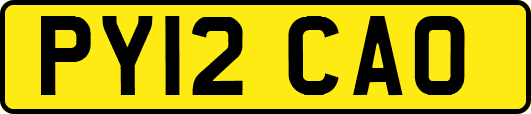PY12CAO