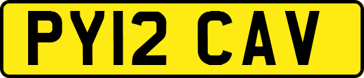 PY12CAV