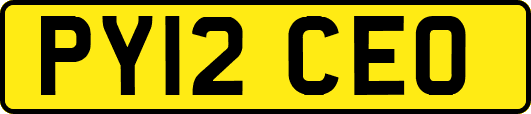 PY12CEO