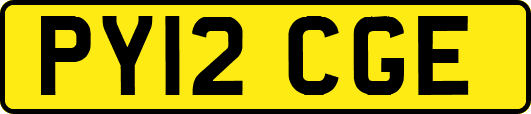 PY12CGE