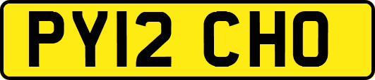 PY12CHO