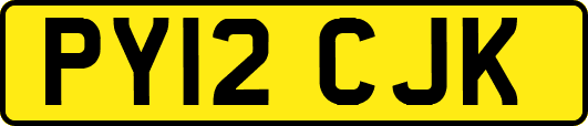 PY12CJK