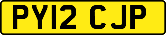 PY12CJP