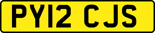 PY12CJS
