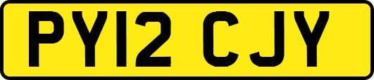 PY12CJY