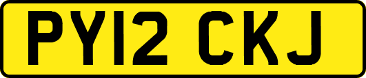 PY12CKJ