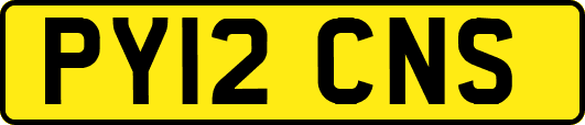 PY12CNS