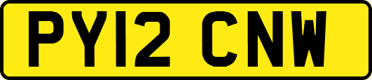 PY12CNW