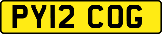PY12COG