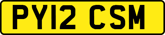 PY12CSM