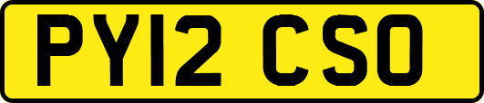 PY12CSO