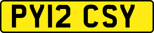 PY12CSY