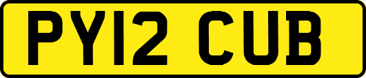 PY12CUB