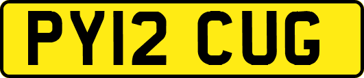 PY12CUG