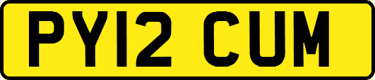 PY12CUM