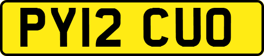 PY12CUO