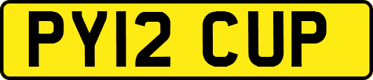 PY12CUP