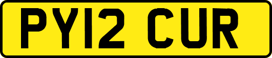 PY12CUR
