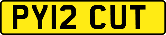 PY12CUT