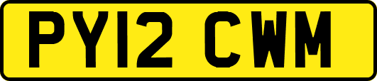 PY12CWM