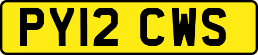 PY12CWS