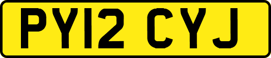 PY12CYJ