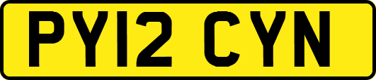 PY12CYN