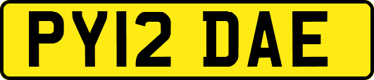 PY12DAE