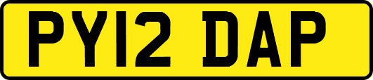 PY12DAP