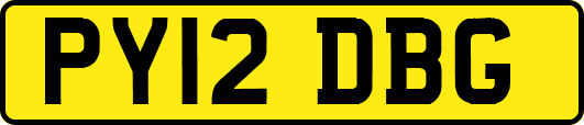 PY12DBG