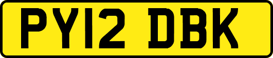 PY12DBK