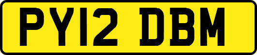 PY12DBM