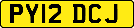 PY12DCJ