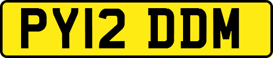 PY12DDM