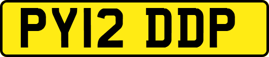 PY12DDP