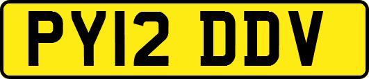 PY12DDV