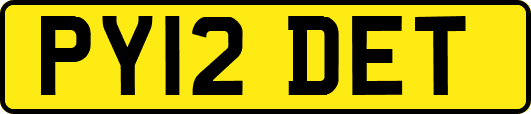 PY12DET