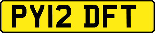 PY12DFT