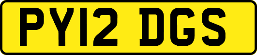 PY12DGS