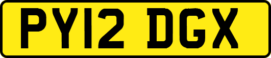 PY12DGX