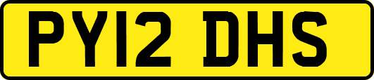 PY12DHS