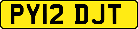 PY12DJT