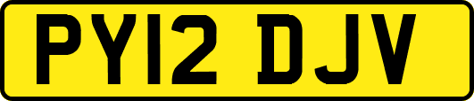 PY12DJV