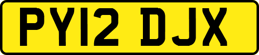 PY12DJX