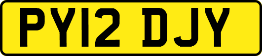 PY12DJY