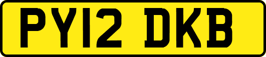 PY12DKB