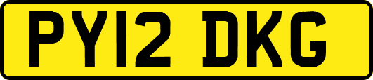 PY12DKG